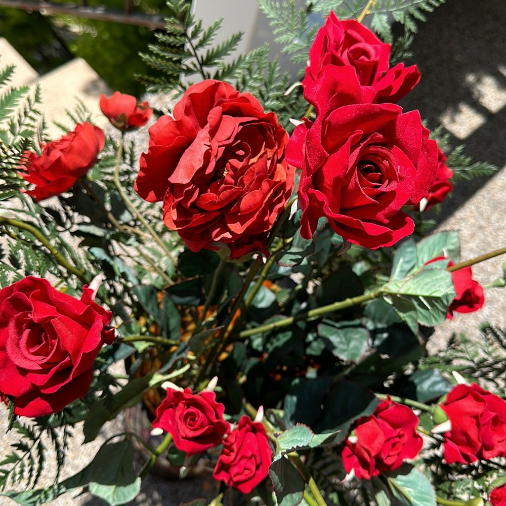 Roses - Picture 4 of 4